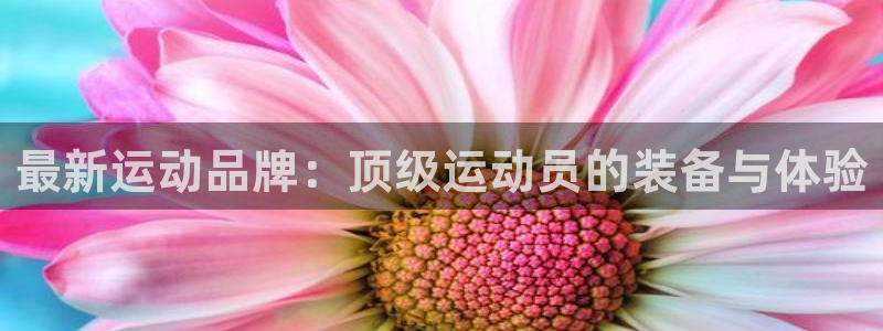 凯捷体育平台注册流程图：最新运动品牌：顶级运动员的装