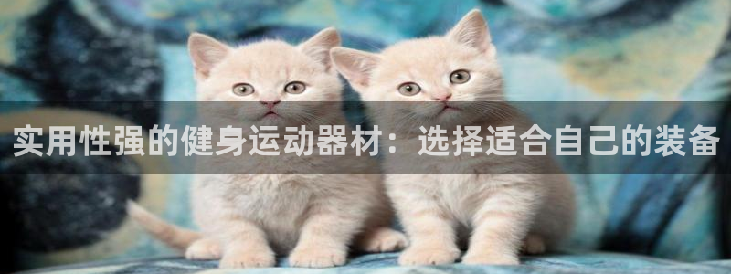 凯捷体育平台是正规平台吗知乎：实用性强的健身运动器材
