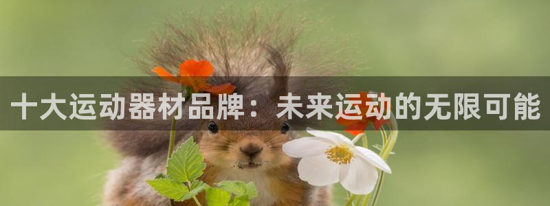 注册凯捷体育：十大运动器材品牌：未来运动的无限可能