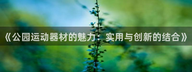 凯捷体育代理：《公园运动器材的魅力：实用与创新的结合