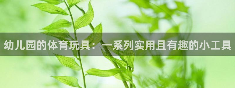 凯捷体育集团logo：幼儿园的体育玩具：一系列实用且