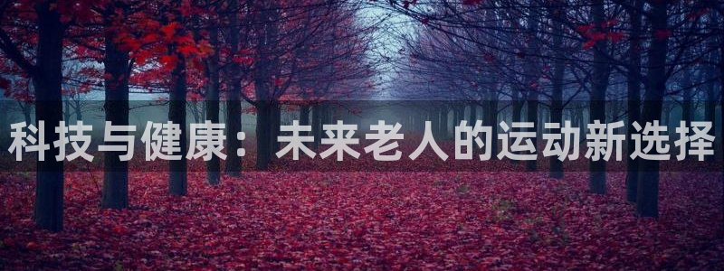 意昂平台体育：科技与健康：未来老人的运动新选择