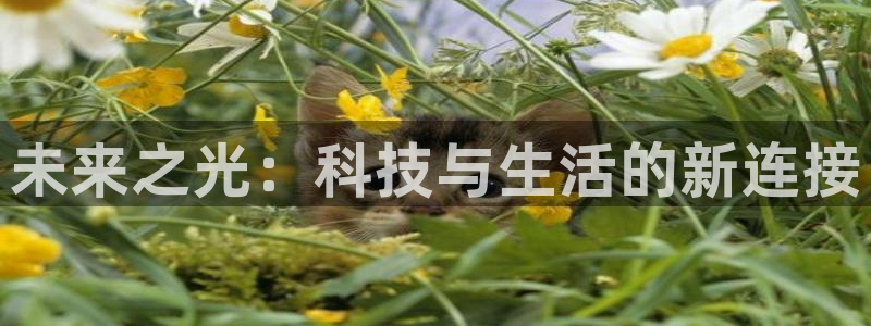 凯捷体育招商：未来之光：科技与生活的新连接