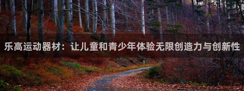 凯捷体育平台注册流程视频：乐高运动器材：让儿童和青少