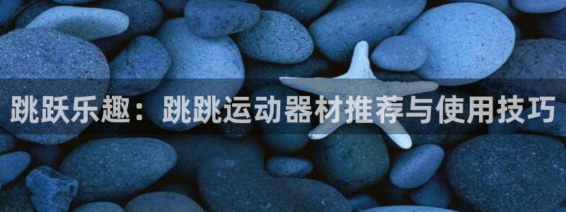 凯捷体育娱乐是那个系列的台子：跳跃乐趣：跳跳运动器材