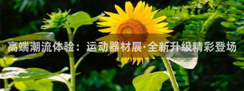 凯捷体育注册：高端潮流体验：运动器材展·全新升级精彩登场