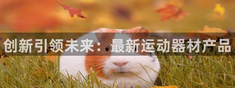 凯捷体育神州：创新引领未来：最新运动器材产品