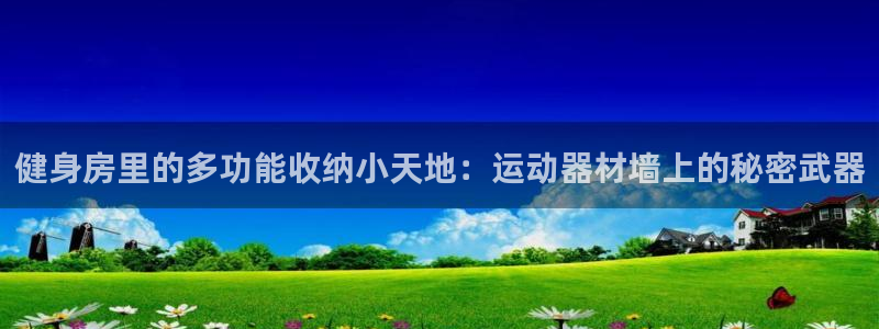 注册凯捷体育：健身房里的多功能收纳小天地：运动器材墙