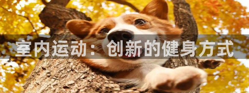 凯捷体育平台是正规平台吗