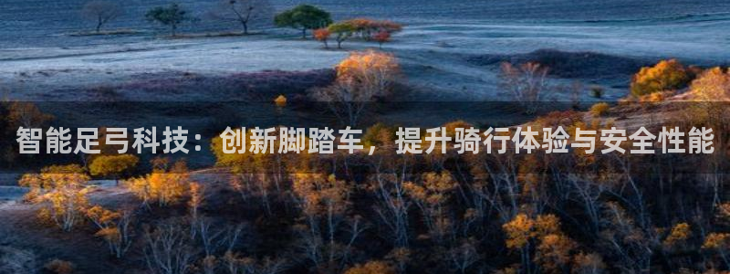凯捷体育娱乐网站：智能足弓科技：创新脚踏车，提升骑行