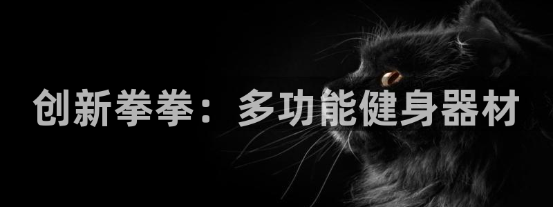 凯捷体育平台注册流程图：创新拳拳：多功能健身器材