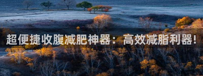 凯捷体育娱乐首页官网下载：超便捷收腹减肥神器：高效减脂利器!