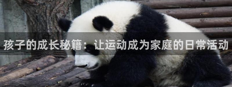 凯捷体育平台是正规平台吗安全吗：孩子的成长秘籍：让运