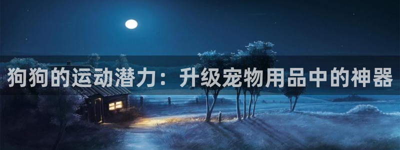 凯捷体育开户：狗狗的运动潜力：升级宠物用品中的神器