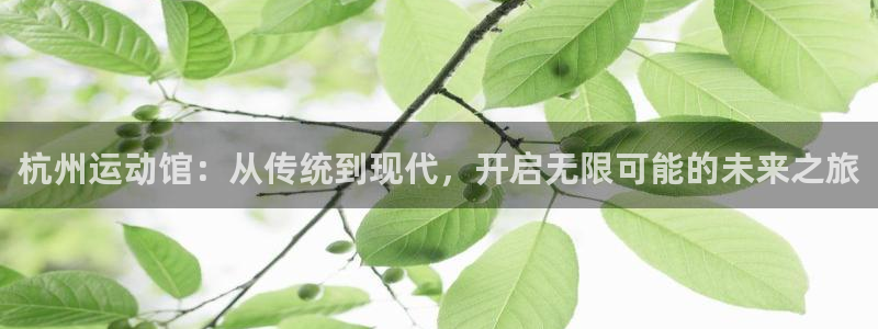 注册凯捷体育：杭州运动馆：从传统到现代，开启无限可能