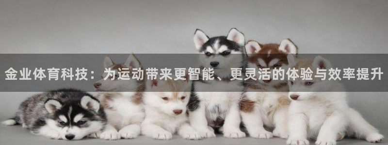 凯捷体育平台假的吗是真的吗