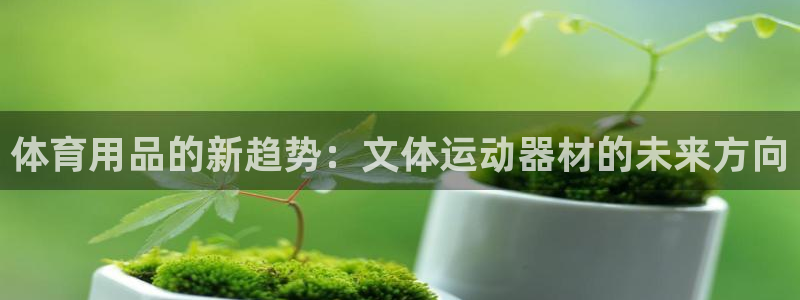 凯捷体育集团简介