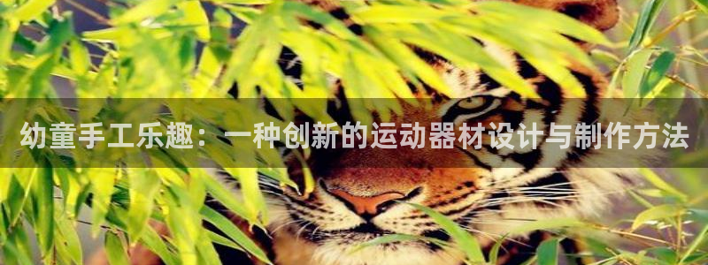 凯捷体育平台注册要钱吗安全吗：幼童手工乐趣：一种创新