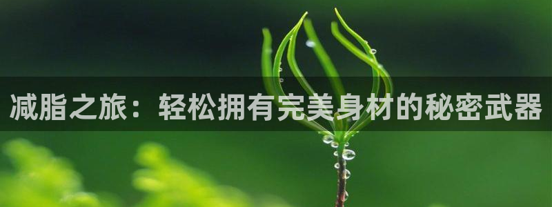 凯捷体育平台是正规平台吗：减脂之旅：轻松拥有完美身材
