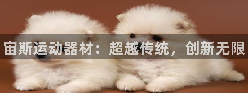 凯捷体育招商电话是多少