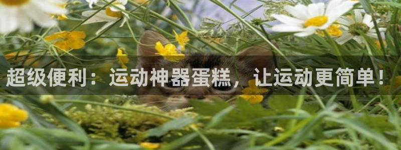 凯捷体育平台注册要钱吗是真的吗：超级便利：运动神器蛋