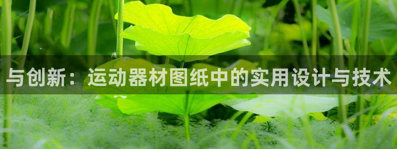 凯捷体育集团E.ON