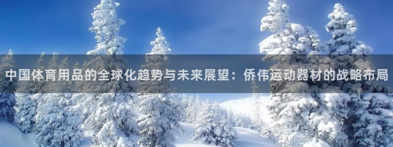 凯捷体育集团：中国体育用品的全球化趋势与未来展望：侨伟运动器