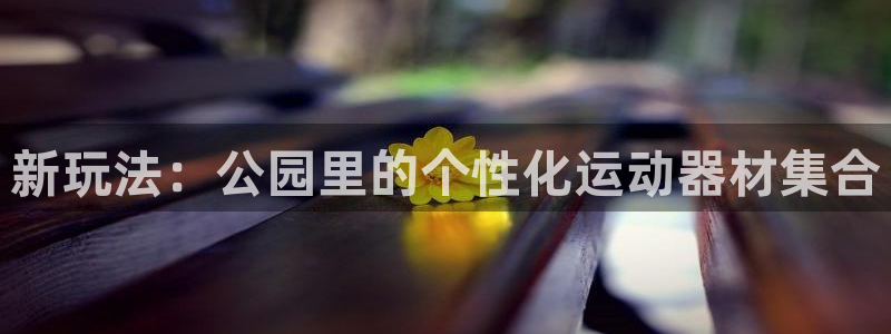 凯捷体育招商电话地址：新玩法：公园里的个性化运动器材集合