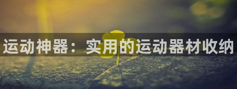 海南凯捷体育发展怎么样：运动神器：实用的运动器材收纳
