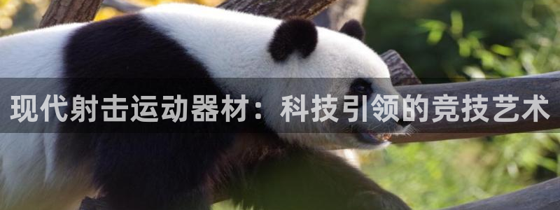 意昂平台体育：现代射击运动器材：科技引领的竞技艺术