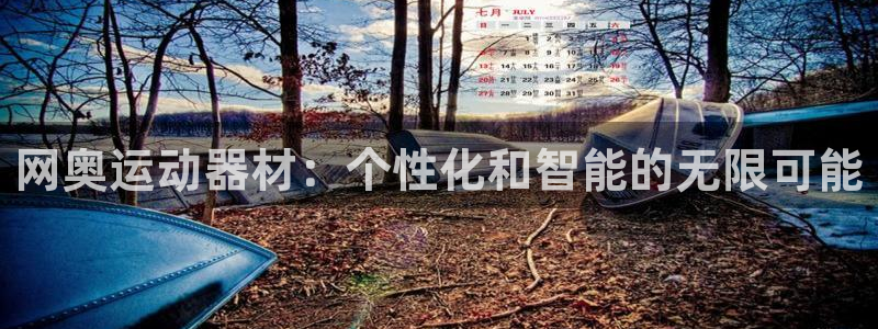 凯捷体育娱乐首页官网下载：网奥运动器材：个性化和智能的无限可