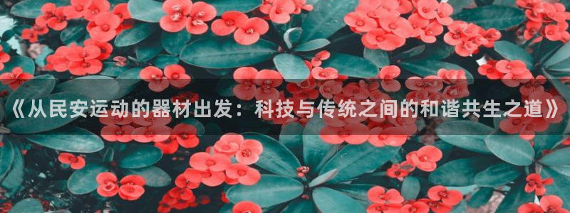 凯捷体育平台假的吗是真的吗吗：《从民安运动的器材出发：科技与