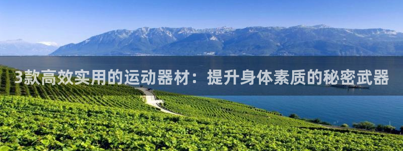 凯捷体育平台注册流程视频：3款高效实用的运动器材：提升身体素