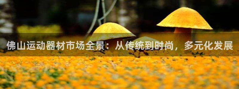 凯捷体育软件：佛山运动器材市场全景：从传统到时尚，多