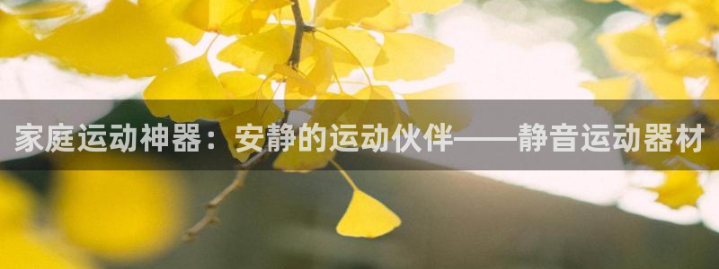 德国凯捷体育集团：家庭运动神器：安静的运动伙伴——静