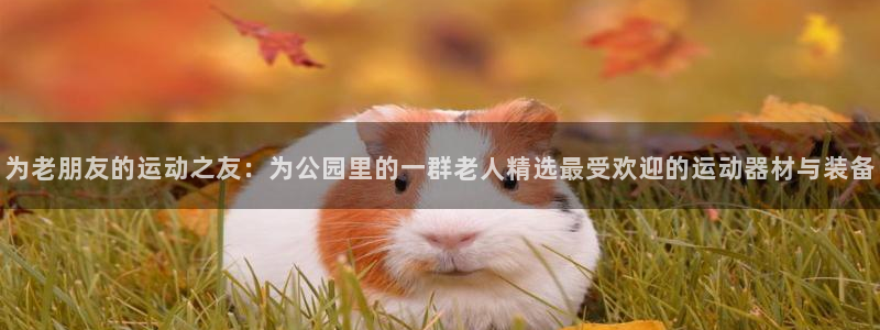 凯捷体育招商电话地址：为老朋友的运动之友：为公园里的