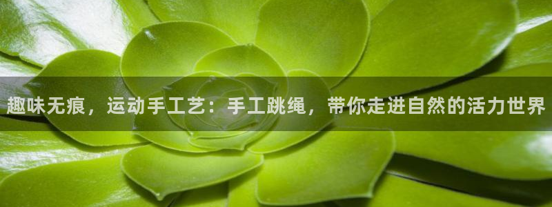 凯捷体育招商电话号码是多少啊：趣味无痕，运动手工艺：