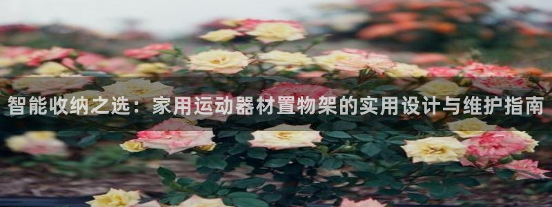 凯捷体育招商电话号码查询：智能收纳之选：家用运动器材