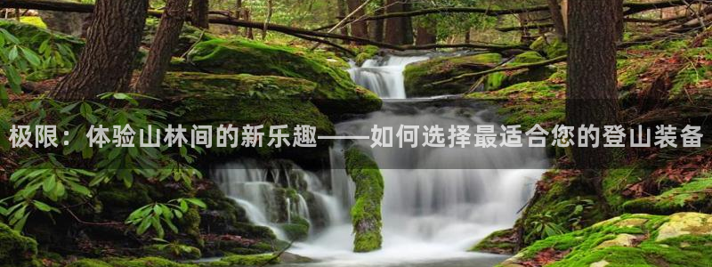 凯捷体育集团