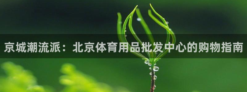 凯捷体育平台假的吗是真的吗