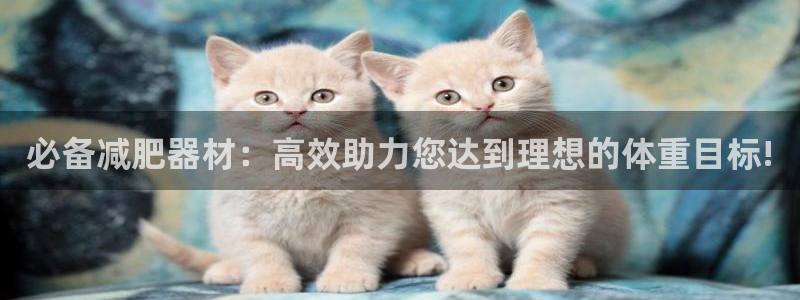 德国凯捷体育集团