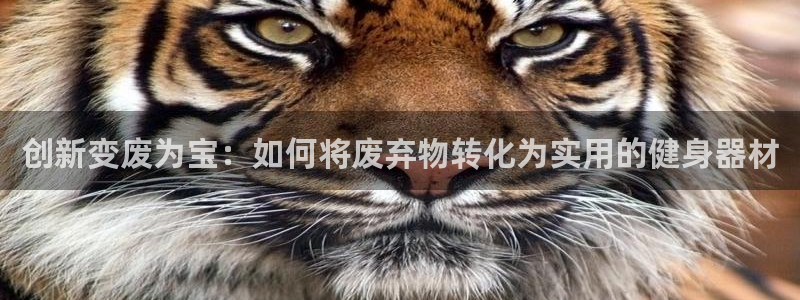 凯捷体育娱乐是那个系列的台子：创新变废为宝：如何将废弃物转化