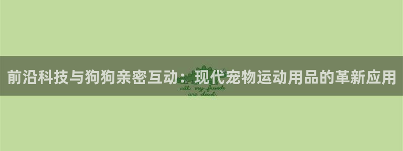 凯捷体育开户：前沿科技与狗狗亲密互动：现代宠物运动用品的革新