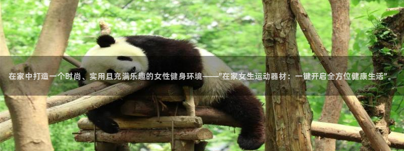 凯捷体育：在家中打造一个时尚、实用且充满乐趣的女性健身环境—