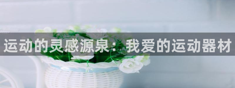 凯捷体育娱乐首页网站大全：运动的灵感源泉：我爱的运动器材
