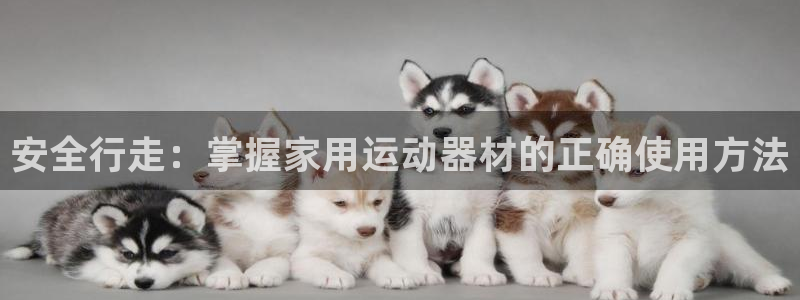 凯捷体育娱乐首页官网下载