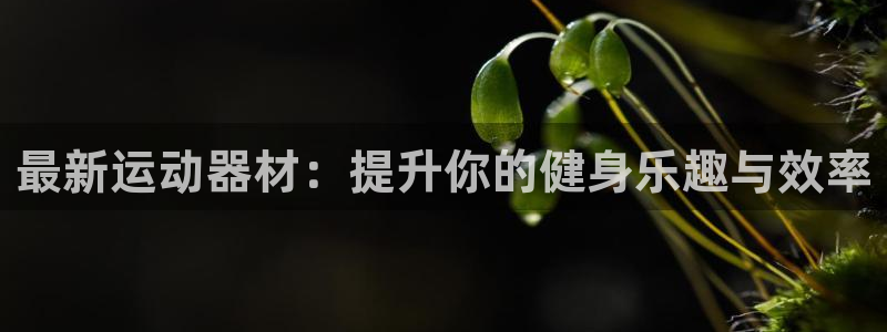 凯捷体育集团logo