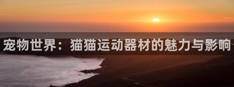 凯捷体育平台注册要钱吗：宠物世界：猫猫运动器材的魅力