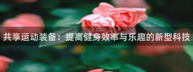 凯捷体育集团官网首页：共享运动装备：提高健身效率与乐