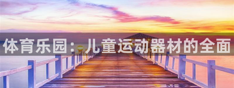 凯捷体育平台注册：体育乐园：儿童运动器材的全面